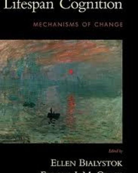 Brain Changes in Aging: A Lifespan Perspective