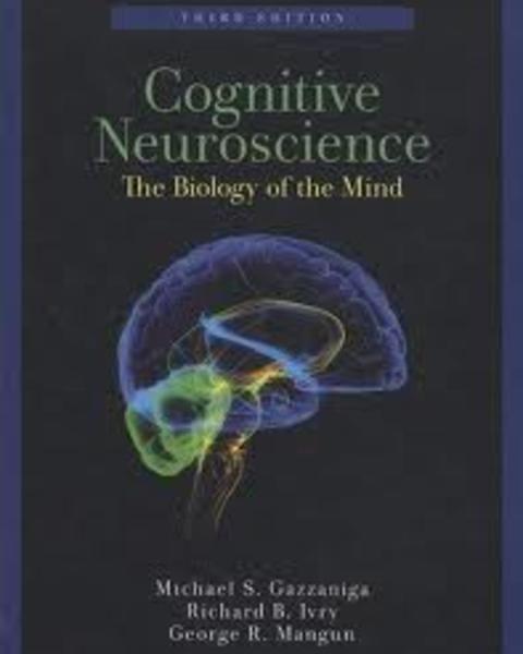 Neural Correlates of Memory's Successes and Sins