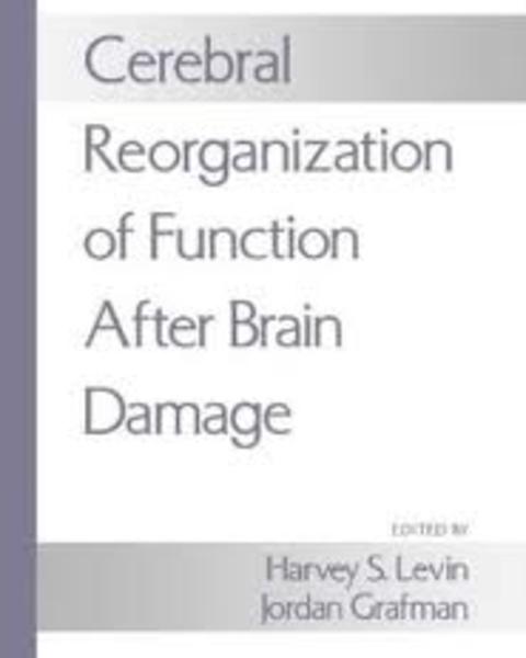 Neuroimaging of Functional Recovery